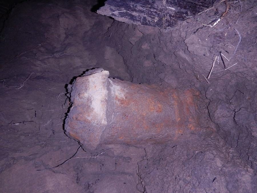Ant Nemuno kranto rastas karo laikų sprogmuo