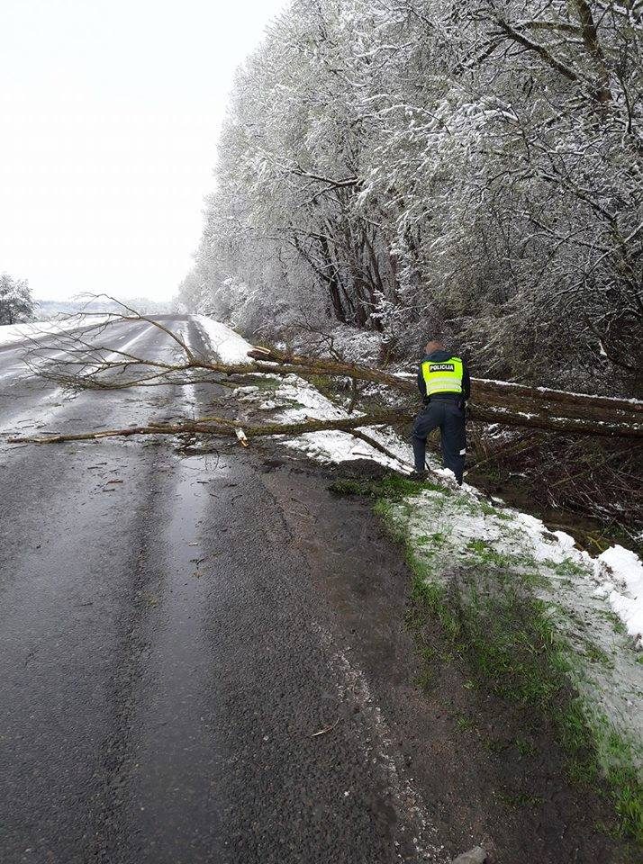 Policijos pareigūnai darbavosi kirvukais