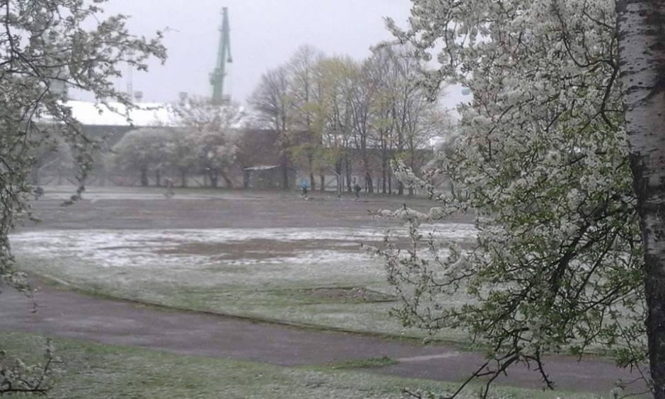 Gamtos anomalijos: ankstyvą gegužės rytą Klaipėdą pasveikino pūga