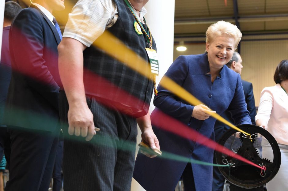 D. Grybauskaitė – aštuoneri metai prezidento poste