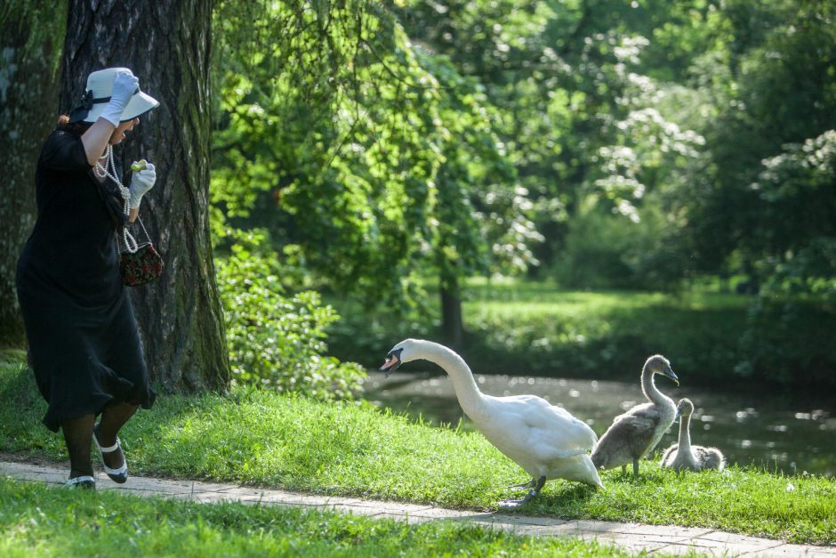 Onyte, einam su manim pašokti