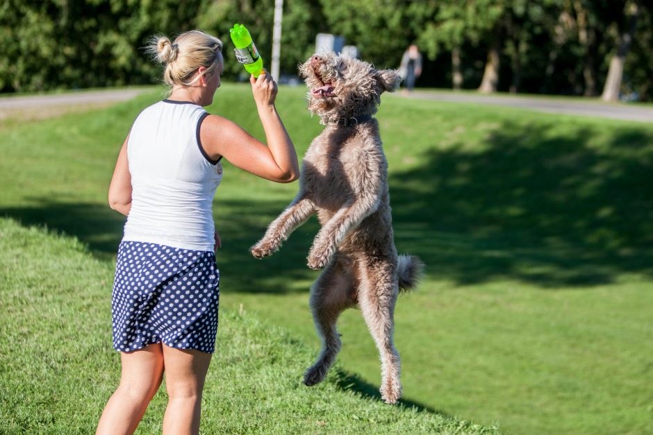 Kauniečiai plūdo į masinį pikniką