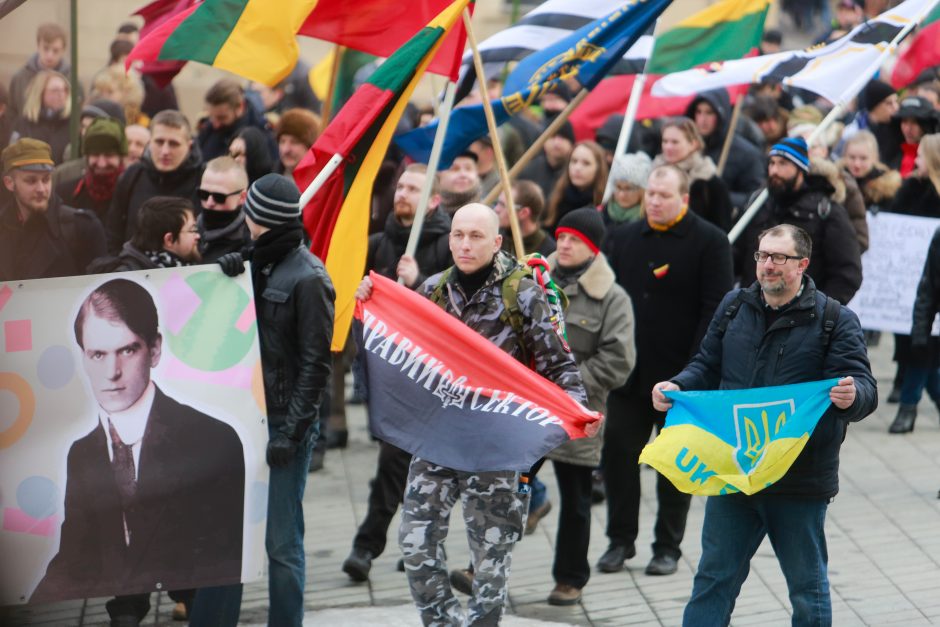 Tautininkų agresyvumą nustelbė vidinės rietenos?