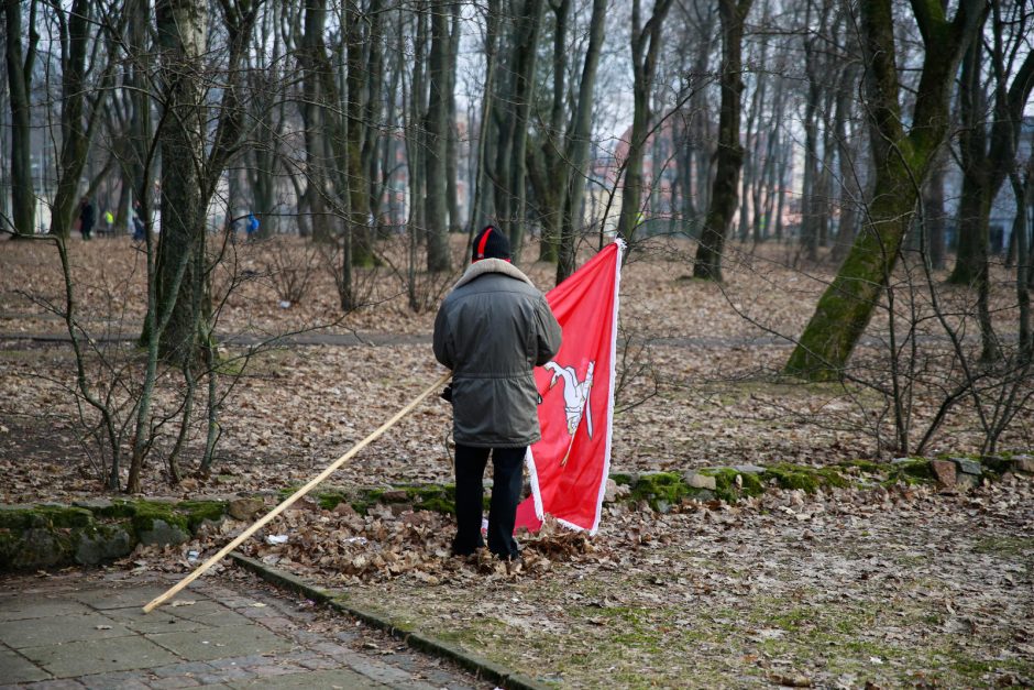 Tautininkų agresyvumą nustelbė vidinės rietenos?