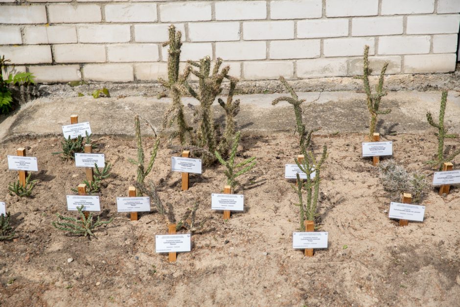 „Augalų žavadienis“ sukvietė tūkstančius gamtos mylėtojų