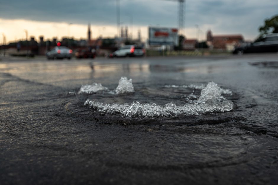 Netoli Vytauto Didžiojo tilto – nekasdienis vaizdas