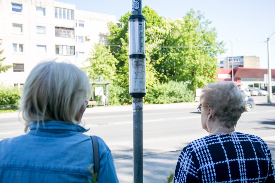 Kur dingo Taikos stotelės stoginė? 