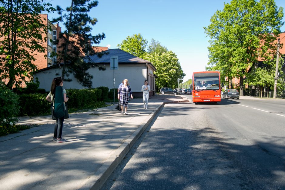 Kur dingo Taikos stotelės stoginė? 