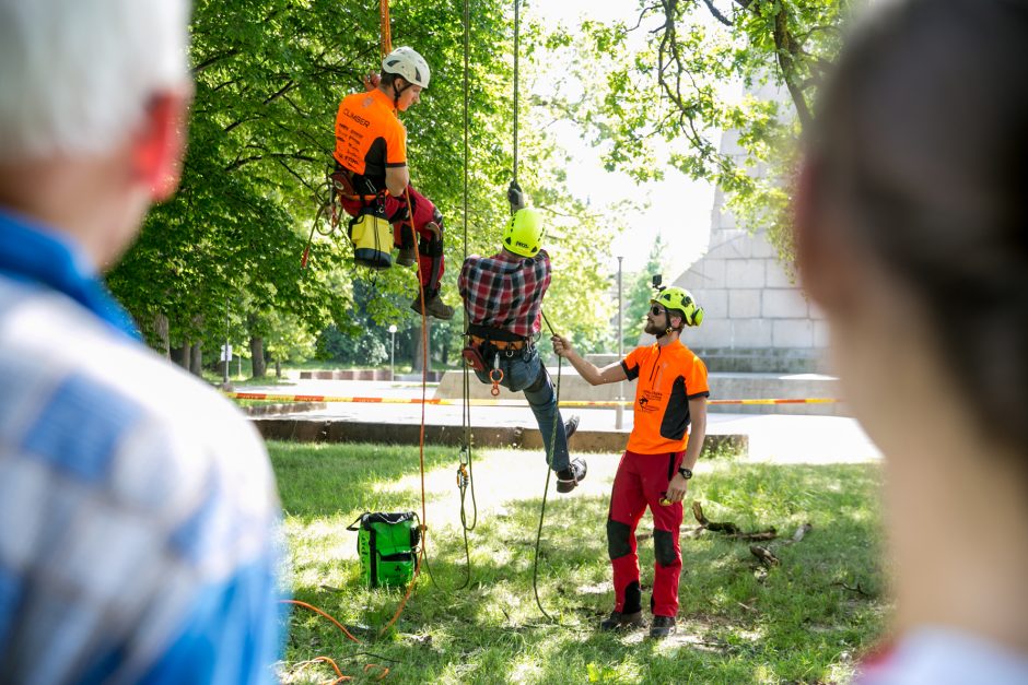 Gamtos paslaptys Kauno ąžuolyne