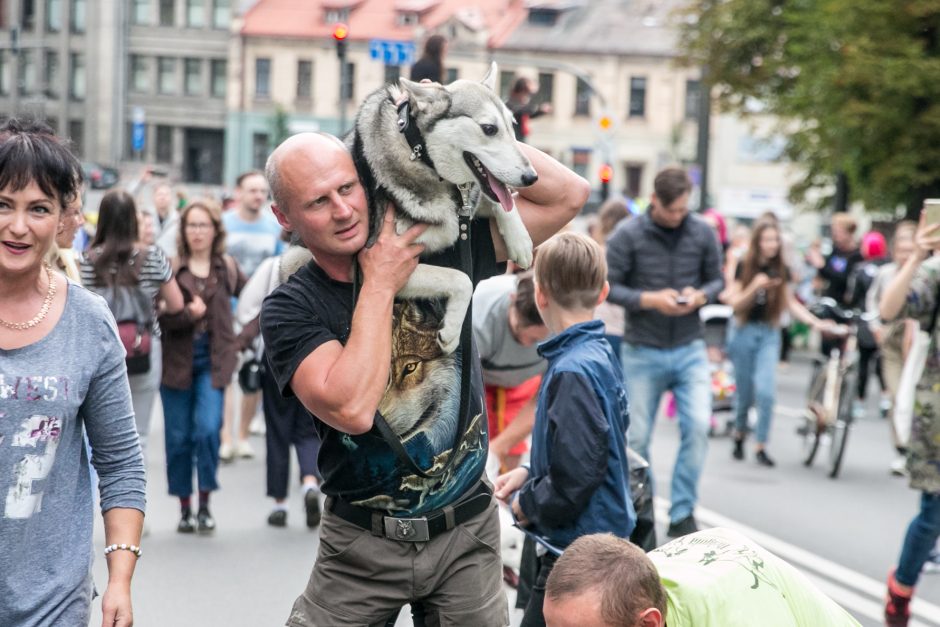 Parodos kalno šturmas: žmonės kopė kirpdamiesi, su vaišių stalais, šunys – neštuvuose