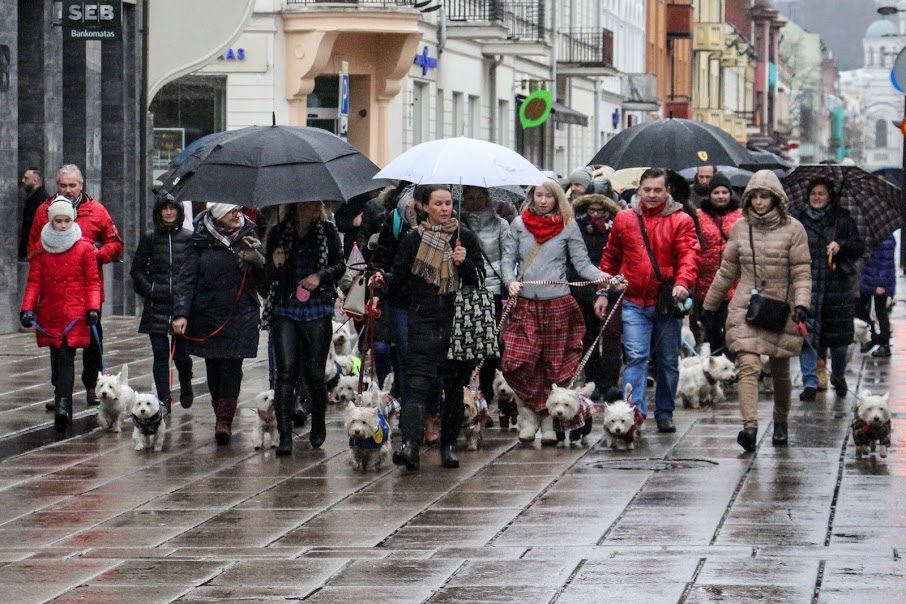 Užuosti Kalėdų oras nesutrukdė