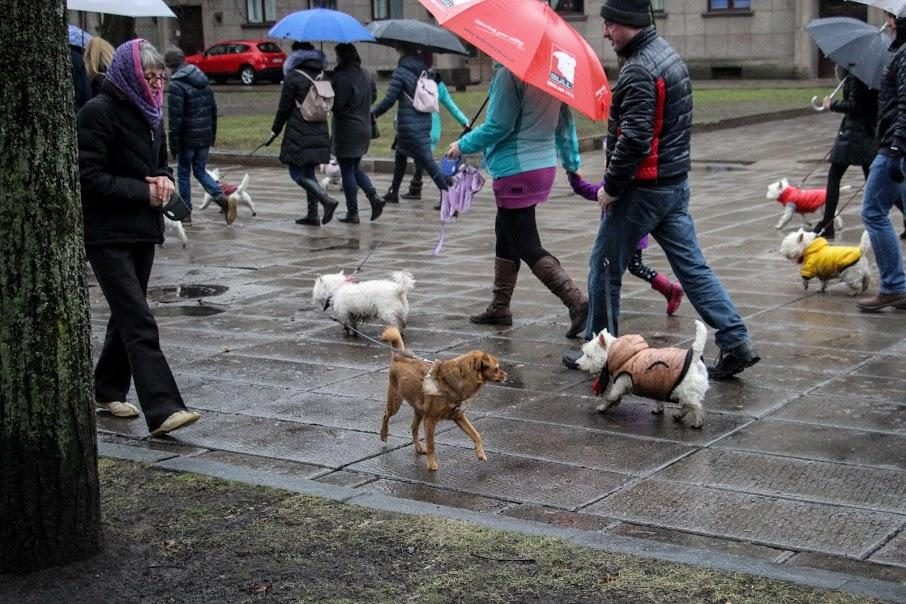 Užuosti Kalėdų oras nesutrukdė