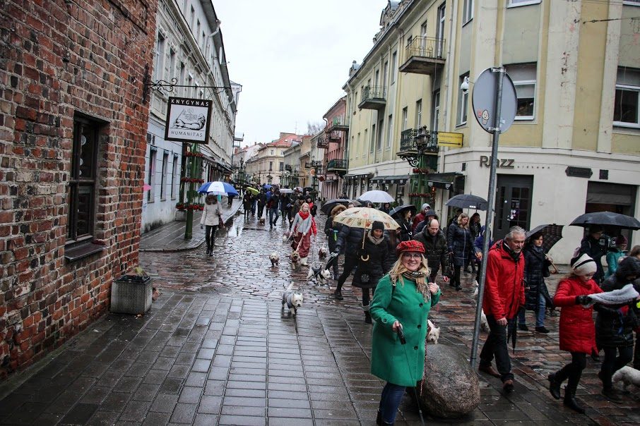 Užuosti Kalėdų oras nesutrukdė