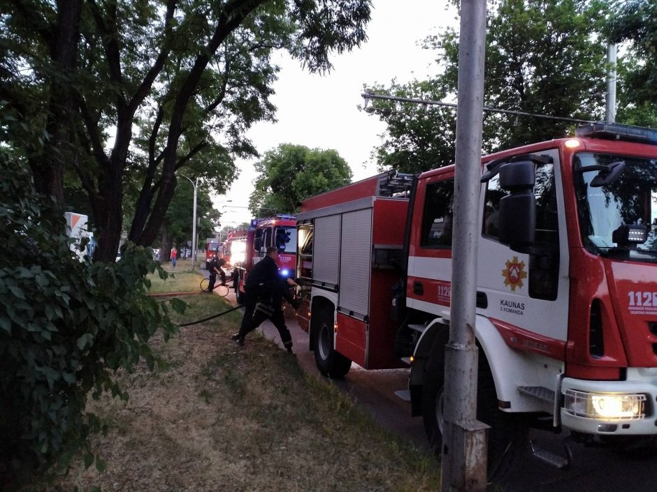 Neries krantinėje liepsnojo butas, žuvo moteris (vaizdo įrašas)