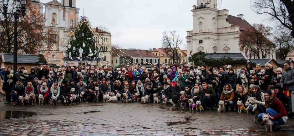 Užuosti Kalėdų oras nesutrukdė