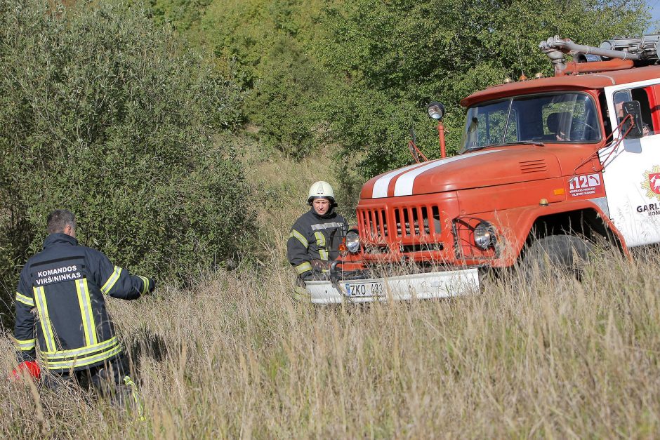 Prie Aleksoto aerodromo nukrito lėktuvas