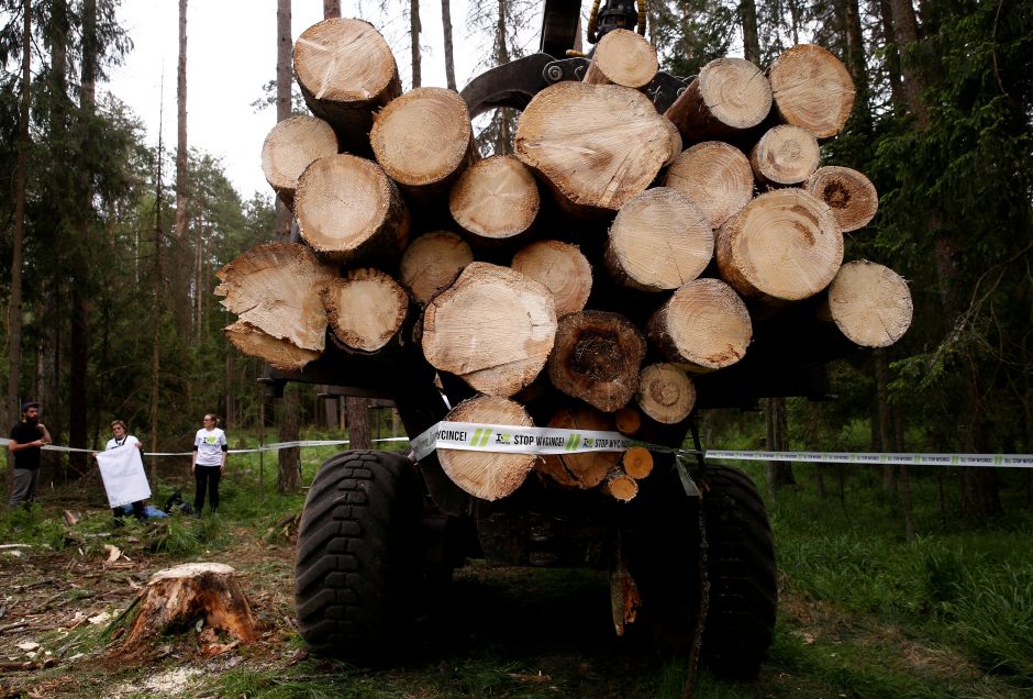 ES padavė Lenkiją į teismą dėl reliktinio miško kirtimo