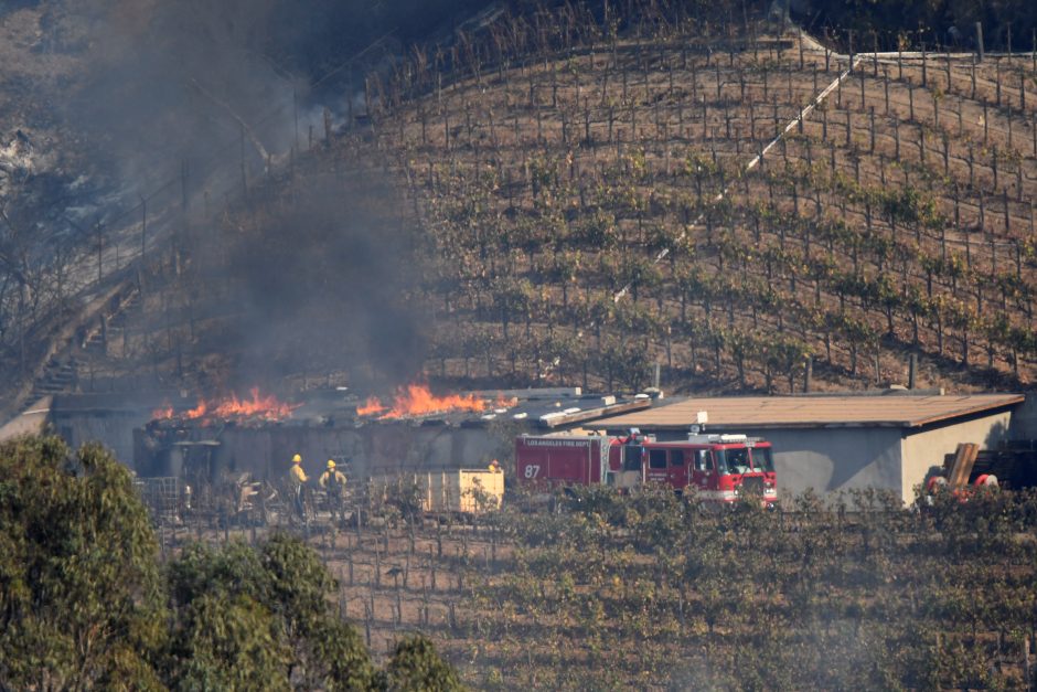 Kalifornijoje siautėja gaisrai, iškilo pavojus prabangiam Los Andželo rajonui