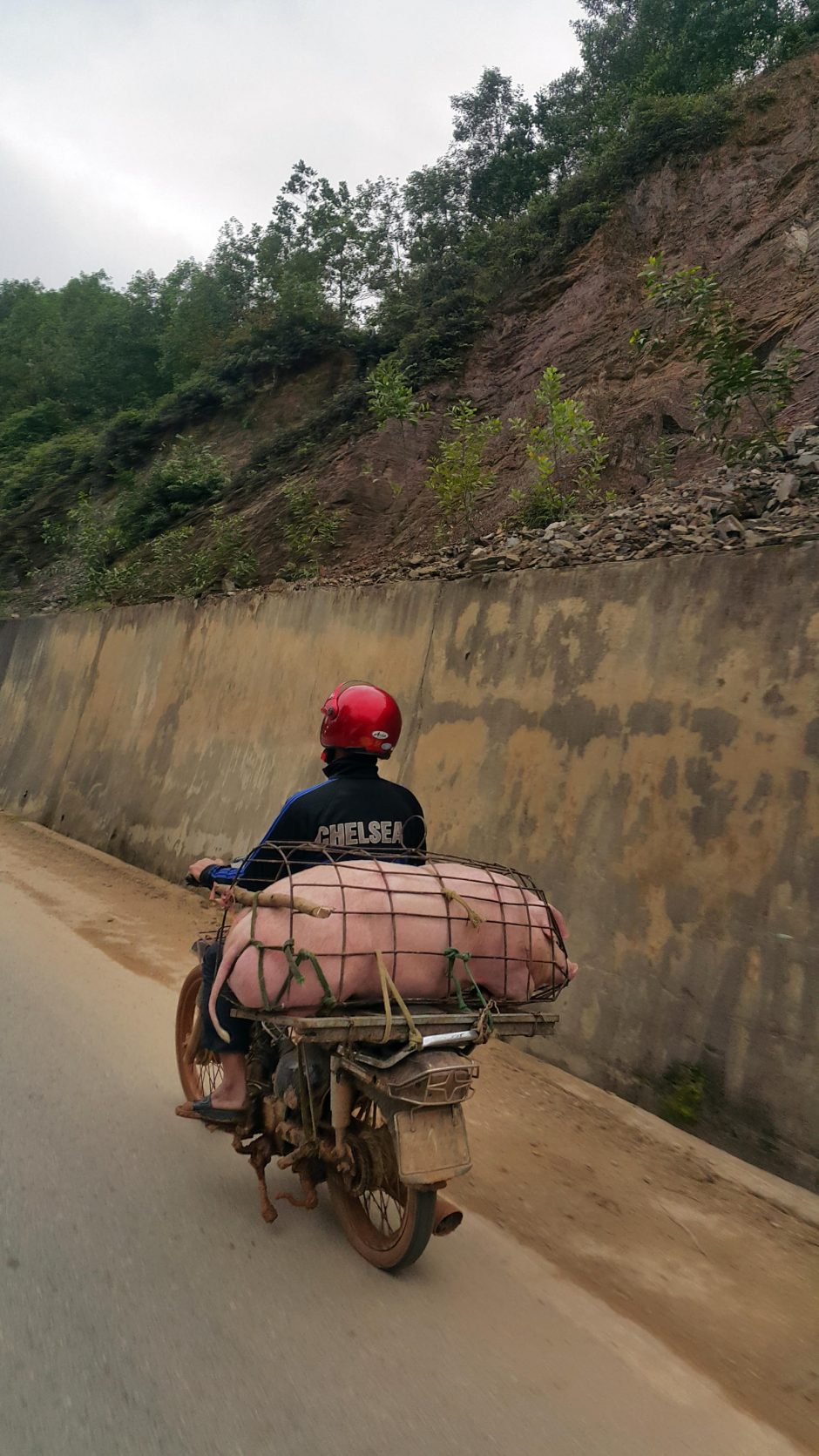 Vietnamas: beprotiškai chaotiškas ir spalvingas