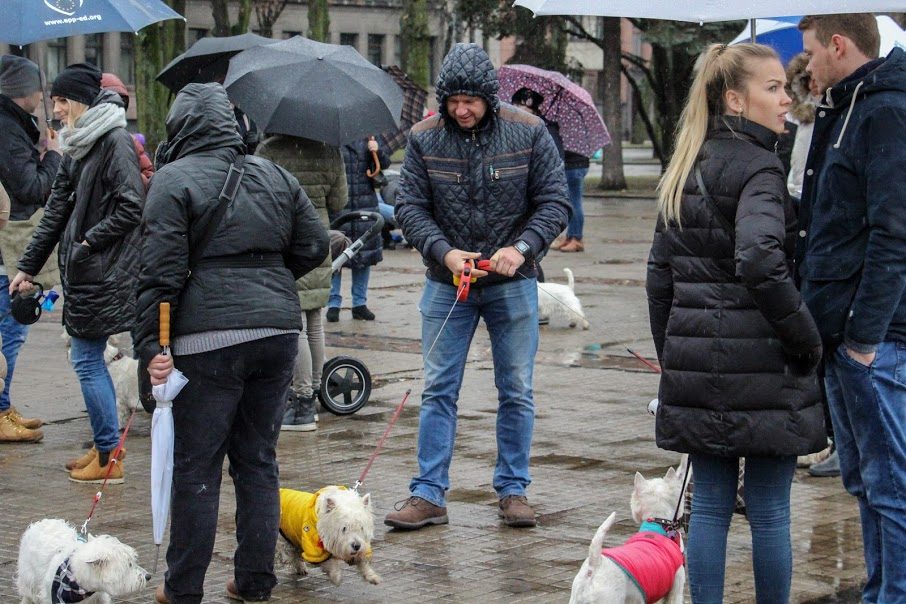 Užuosti Kalėdų oras nesutrukdė