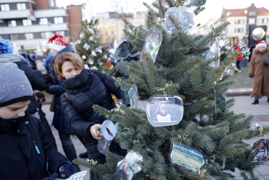 Pamatykite pirmieji: Atgimimo aikštėje išdygo eglučių miškas