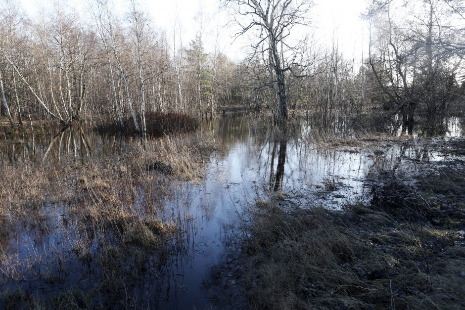 Kopose tyvuliuoja vandens telkinys