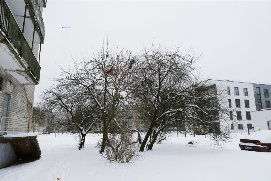 Dėl netvarkos prie bendrabučio – konfliktai