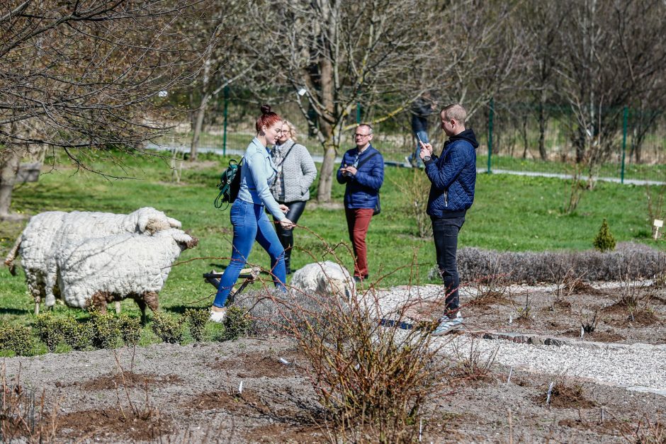 Botanikos sode surengta bendruomenės iškyla