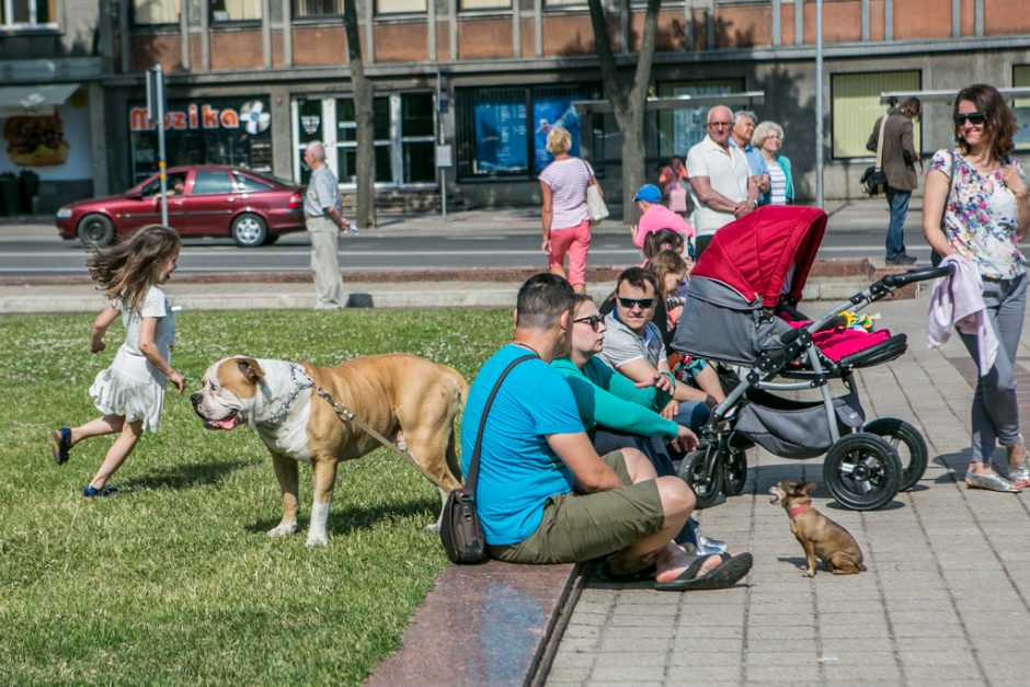 Klaipėdoje aidi Vakarų Lietuvos krašto dainų šventės melodijos