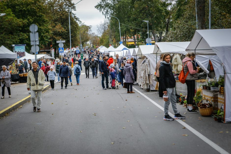 Palanga pražydo ir suskambo tarptautiniu folkloro festivaliu