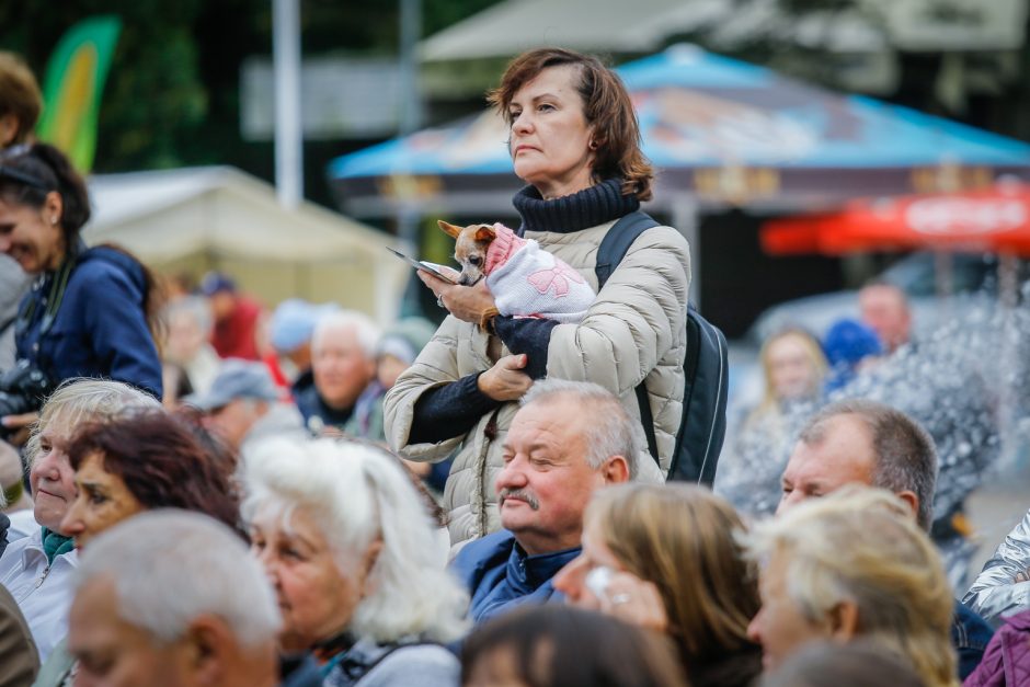 Palanga pražydo ir suskambo tarptautiniu folkloro festivaliu