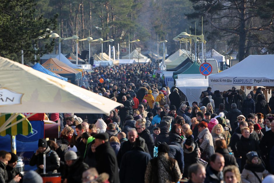 Palangoje karaliauja stintų šventė