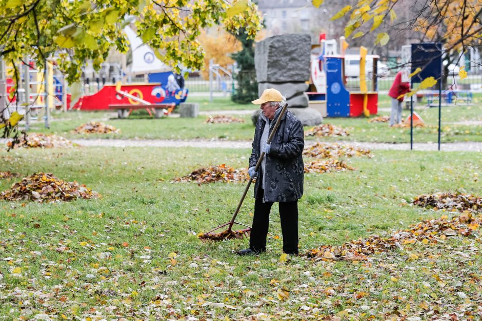 Klaipėdiečiai miesto centre grėbė lapus