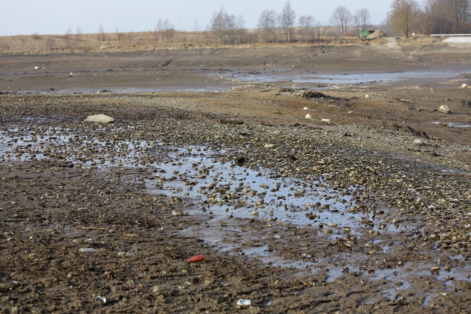 Laukžemių tvenkinys atgims jau šiemet