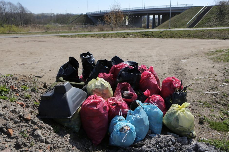 Klaipėdoje „Darom“ dalyviai švarino ir Danės dugną