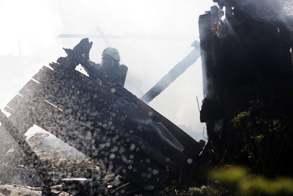 Klaipėdos ekonominėje zonoje degė apleistas kaimas