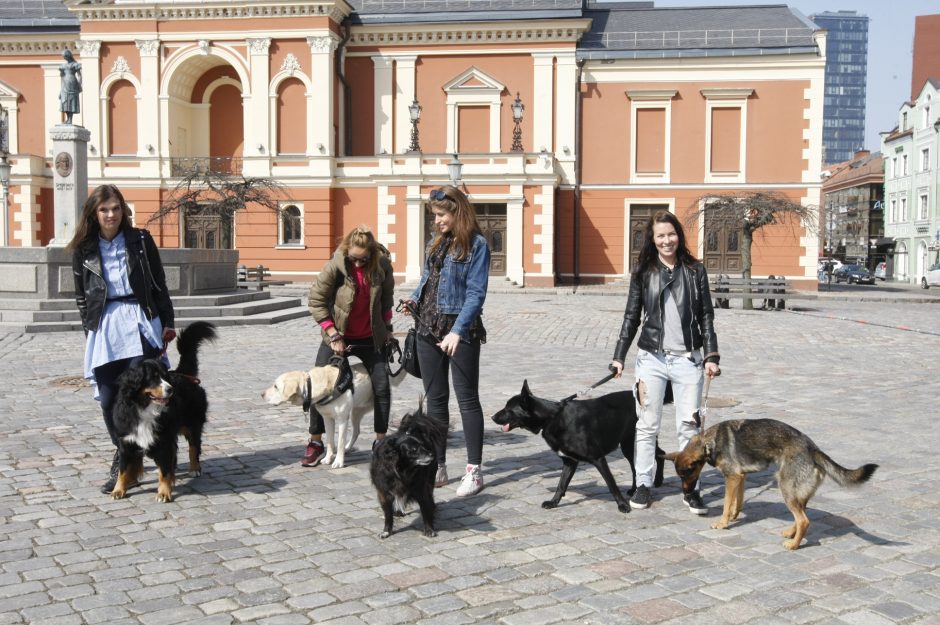 Uostamiesčio kavinėse ir įstaigose „šunininkai“ laukiami