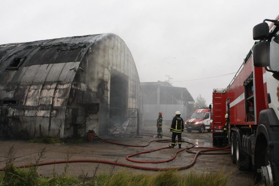 Uostamiestyje užsiliepsnojo padangų sandėlis (video)