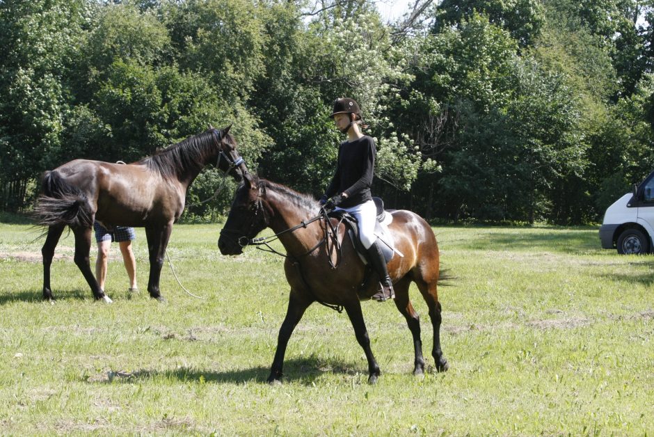 Priekulėje – žirgų sporto ir miesto šventė