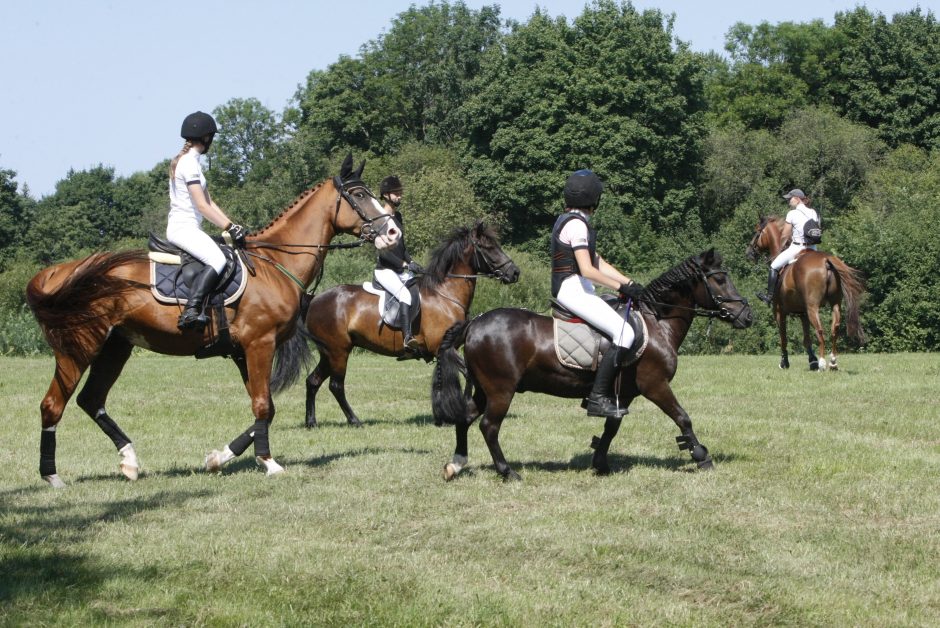 Priekulėje – žirgų sporto ir miesto šventė