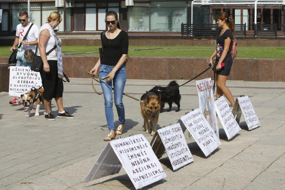 Klaipėdiečiai kyla prieš „Nuarą“