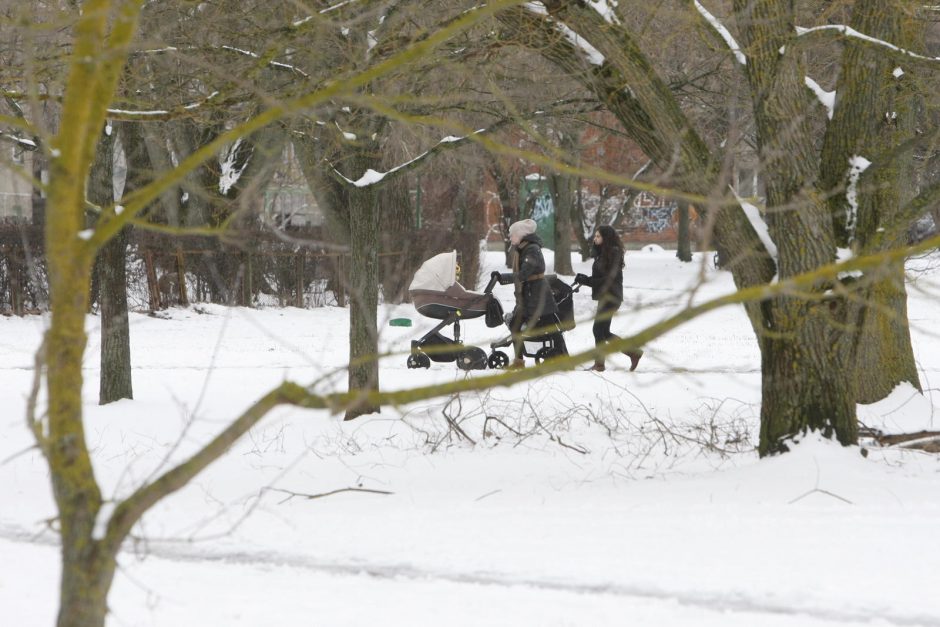 Ieškoti sliekų – į parką