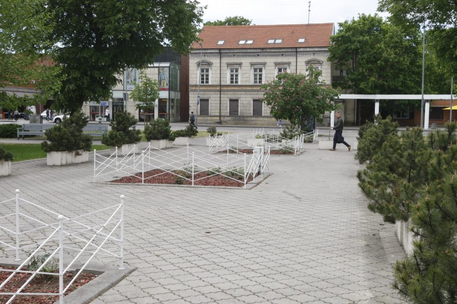 Lietuvininkų aikštėje – sunykę rožynai