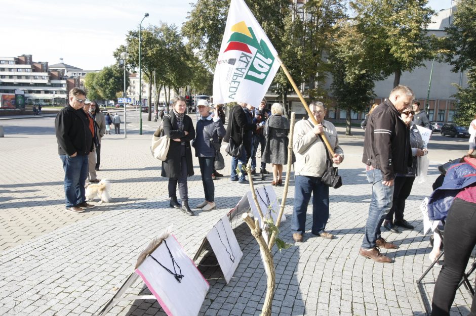 Klaipėdos žalieji dėl medžių kirtimo tikisi susitikti su S. Skverneliu