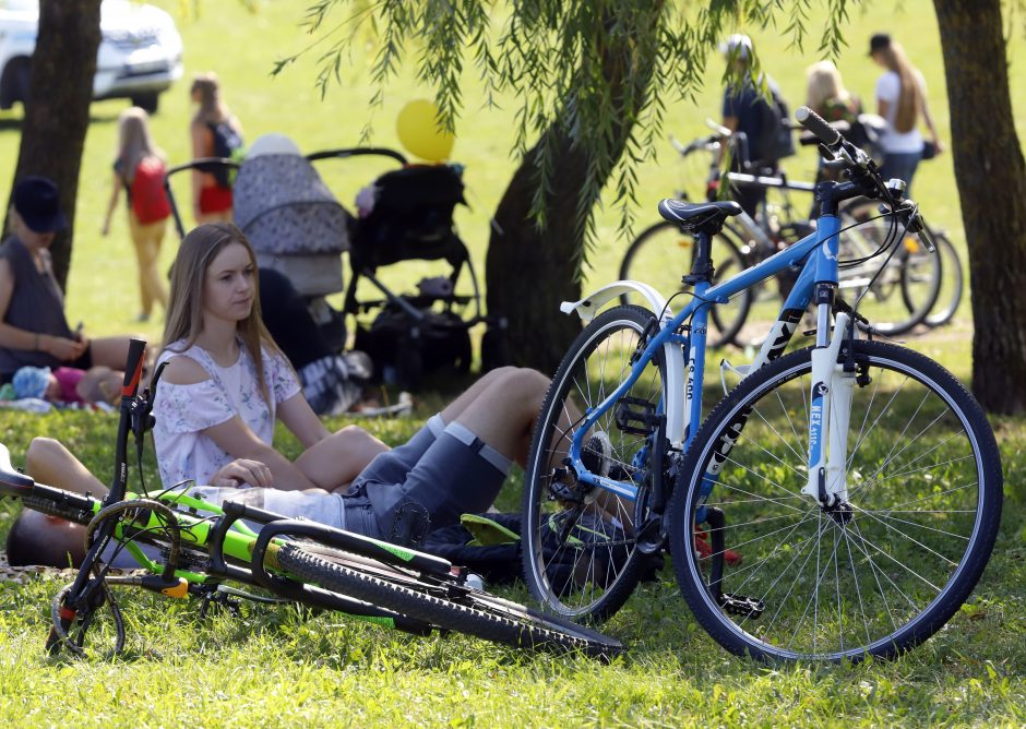 „Laisvės pikniko“ pramogos