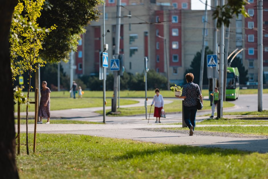 Atnaujinto Draugystės parko atidarymas