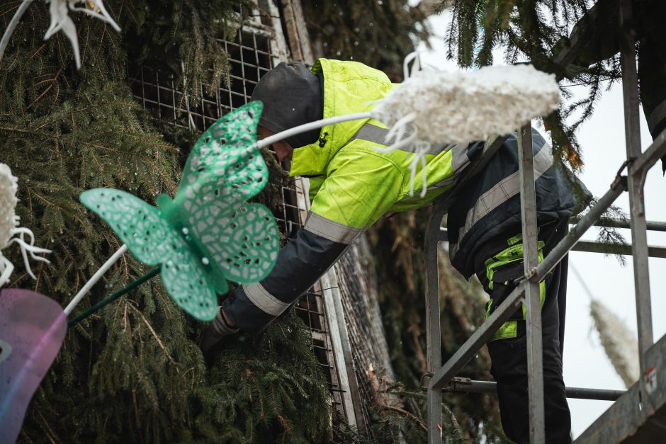 Žmonės plūsta prie apdegusios Kauno eglės