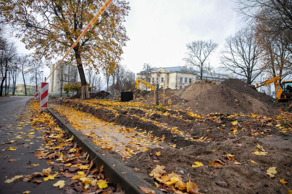 Dar mažiau nykių erdvių: Žaliakalnyje atgyja primirštas skveras