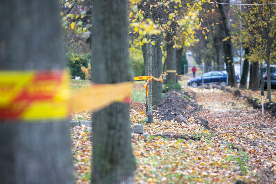 Dar mažiau nykių erdvių: Žaliakalnyje atgyja primirštas skveras