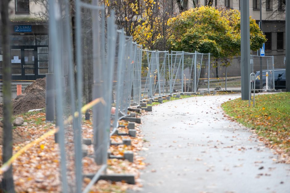 Dar mažiau nykių erdvių: Žaliakalnyje atgyja primirštas skveras